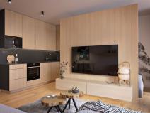 Prodej bytu 1+kk, Dolní Morava, 37 m2