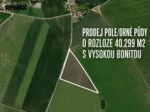 Prodej pole, Kněžice, 40299 m2