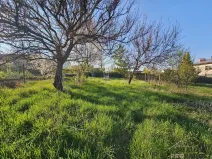 Prodej pozemku pro bydlení, Dolní Bojanovice, 655 m2
