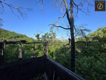 Prodej lesa, Loděnice, 12204 m2