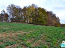 Prodej podílu 49/100 pozemku, Stráž pod Ralskem, 11599 m2