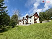 Pronájem bytu 3+kk, Vítkovice, 74 m2