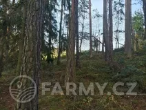 Prodej lesa, Močerady, 47118 m2