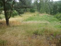 Prodej zahrady, Krušovice, 2000 m2