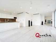 Pronájem bytu 1+kk, Praha - Braník, Na usedlosti, 100 m2
