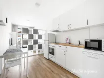 Pronájem bytu 1+kk, Praha - Kyje, Za černým mostem, 27 m2