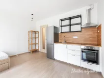 Pronájem bytu 1+kk, Praha - Chodov, Šternovská, 30 m2