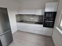 Pronájem bytu 1+1, Ostrava - Moravská Ostrava, Gen. Píky, 45 m2