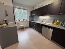 Prodej rodinného domu, Jihlava, Sládkova, 300 m2