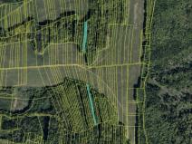 Prodej lesa, Hřivínův Újezd, 3317 m2