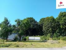 Prodej pozemku pro bydlení, Horní Cerekev - Těšenov, 3877 m2