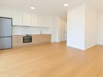 Pronájem bytu 1+kk, Brno - Černovice, Mírová, 33 m2