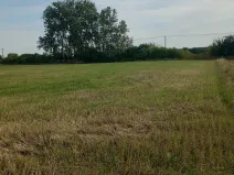 Prodej pole, Kostelec nad Labem, 5022 m2