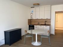 Pronájem bytu 1+kk, Ostrava - Slezská Ostrava, U Hájenky, 34 m2