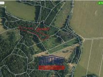 Prodej lesa, Bušanovice, 2562 m2