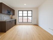 Pronájem bytu 1+kk, Brno, Bratislavská, 25 m2