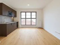 Pronájem bytu 1+kk, Brno, Bratislavská, 25 m2