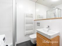 Pronájem bytu 1+kk, Praha, Na Větrníku, 27 m2