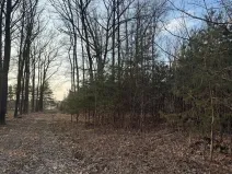 Prodej pozemku, Stéblová, 8147 m2