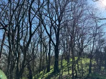 Prodej pozemku, Jevišovice, 7710 m2