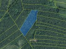 Prodej lesa, Jílovice, 13252 m2