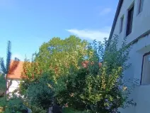 Pronájem chalupy, Sedlec-Prčice - Myslkov, 66 m2