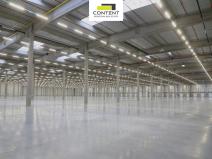 Pronájem výrobních prostor, Údlice, Droužkovická, 20000 m2