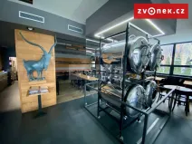 Prodej obchodního prostoru, Holešov, Novosady, 500 m2