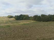 Prodej pozemku pro bydlení, Bohdalice-Pavlovice, 3936 m2