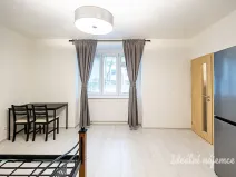 Pronájem bytu 1+kk, Praha - Žižkov, Biskupcova, 27 m2