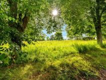 Prodej komerčního pozemku, Čestice, 4931 m2