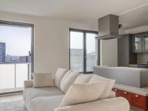 Prodej bytu 2+kk, Praha - Žižkov, U Viktorie, 67 m2