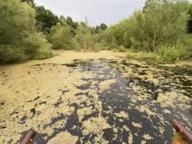 Prodej pozemku pro bydlení, Psáry, 10300 m2