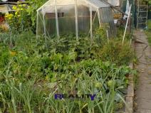 Prodej zahrady, Podbořany, Sídliště Míru, 200 m2