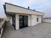 Pronájem bytu 3+kk, Hodonín, 150 m2