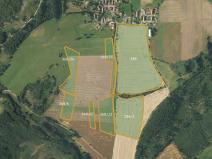 Prodej podílu pole, Borovná, 60983 m2