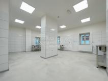 Pronájem výrobních prostor, Příbor, Freudova, 115 m2