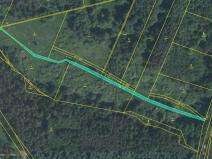 Prodej louky, Petříkov - Těšínov, 1557 m2