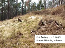 Dražba lesa, Nechvalice, 67035 m2