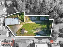 Prodej komerčního pozemku, Olešnice v Orlických horách, 2963 m2