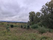 Prodej pozemku, Chodov, Nejdecká, 3546 m2