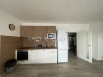 Pronájem bytu 1+kk, České Budějovice, O. Nedbala, 51 m2