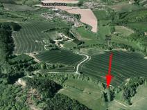 Prodej podílu lesa, Vranová Lhota, 808 m2