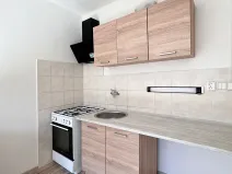 Pronájem bytu 1+1, Jirkov, Vinařická, 38 m2