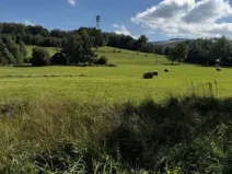 Dražba louky, Zlaté Hory, 32826 m2