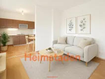 Pronájem bytu 1+kk, Karviná - Nové Město, Zakladatelská, 26 m2
