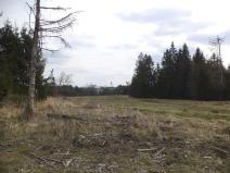 Dražba louky, Opatov, 22551 m2