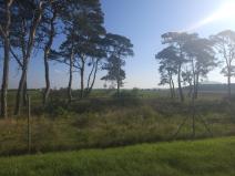 Prodej pole, Roudnice nad Labem, Žižkova, 2271 m2