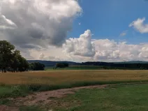 Dražba pole, Hluboká nad Vltavou, 4321 m2