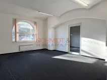 Pronájem obchodního prostoru, Hustopeče, Janáčkova, 29 m2